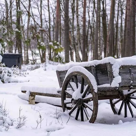 Minivilla Peikonpesae Ulkoporeallas & Pihasauna 샬레 Loppi