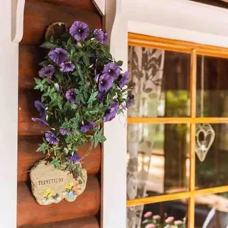 샬레 Minivilla Peikonpesae Ulkoporeallas & Pihasauna